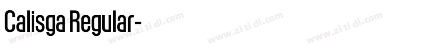 Calisga Regular字体转换 Calisga Regular字体转换